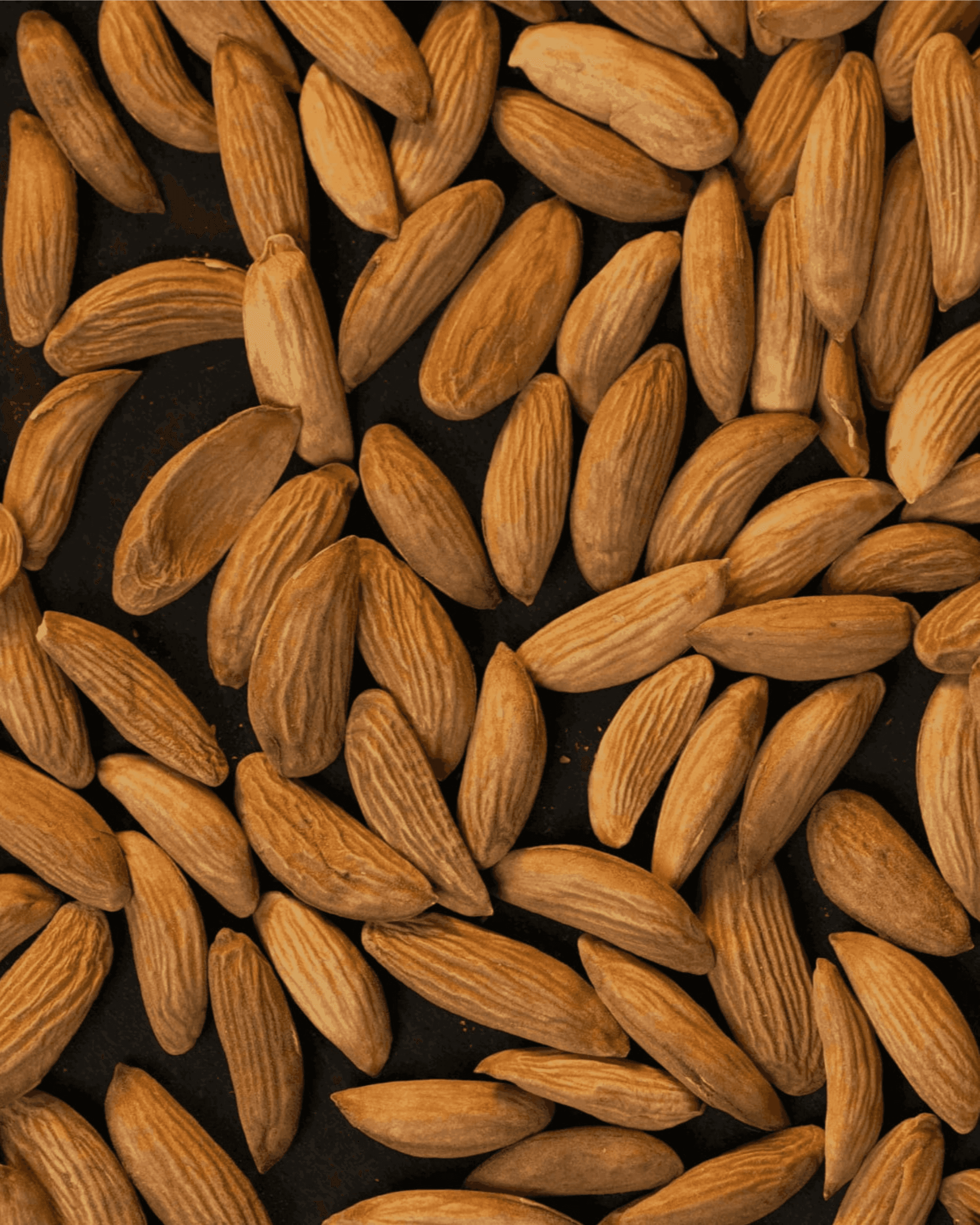Mamra Almonds - Thumbnail 1