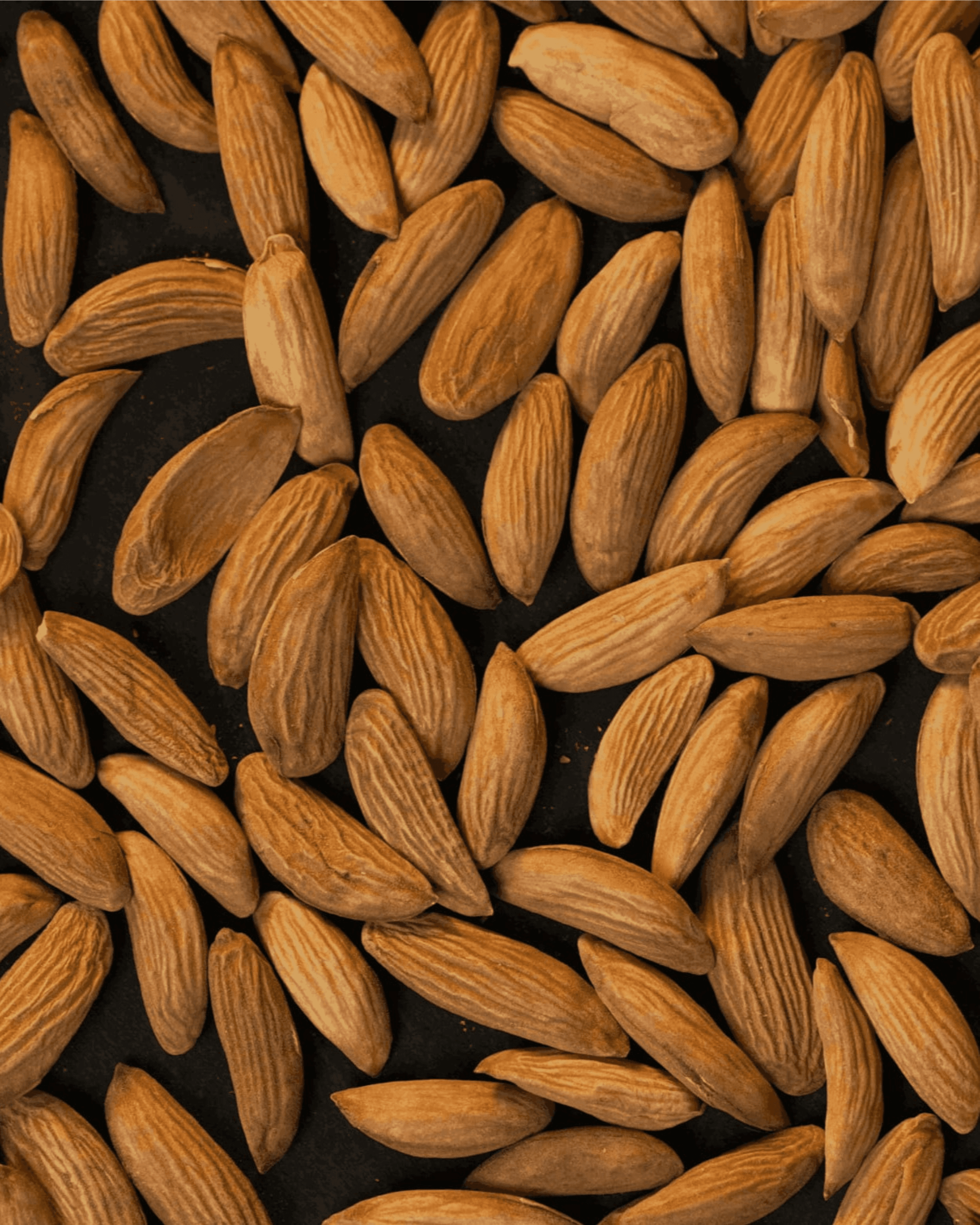 Mamra Almonds