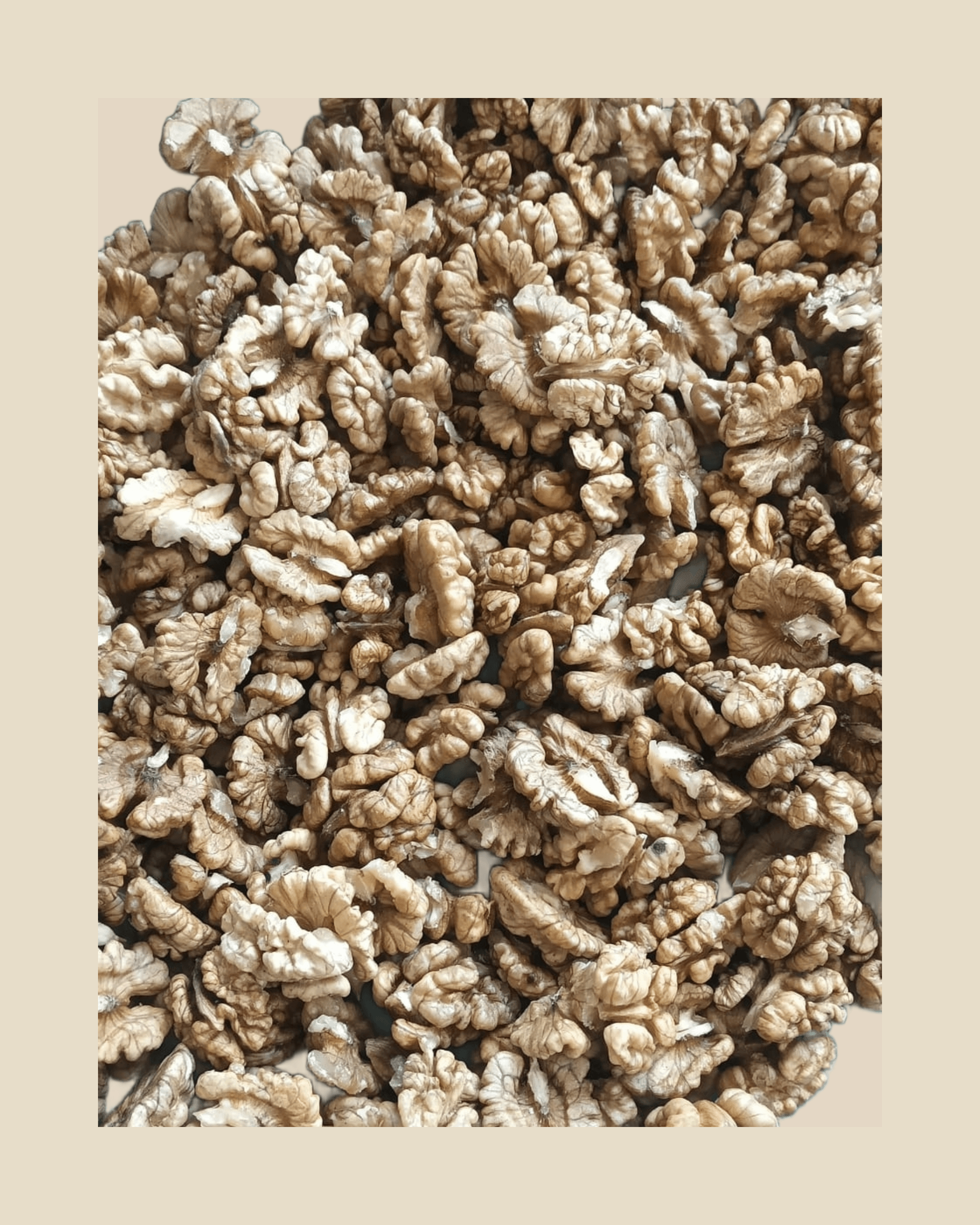 Walnut Giri(Golden) - Image 2