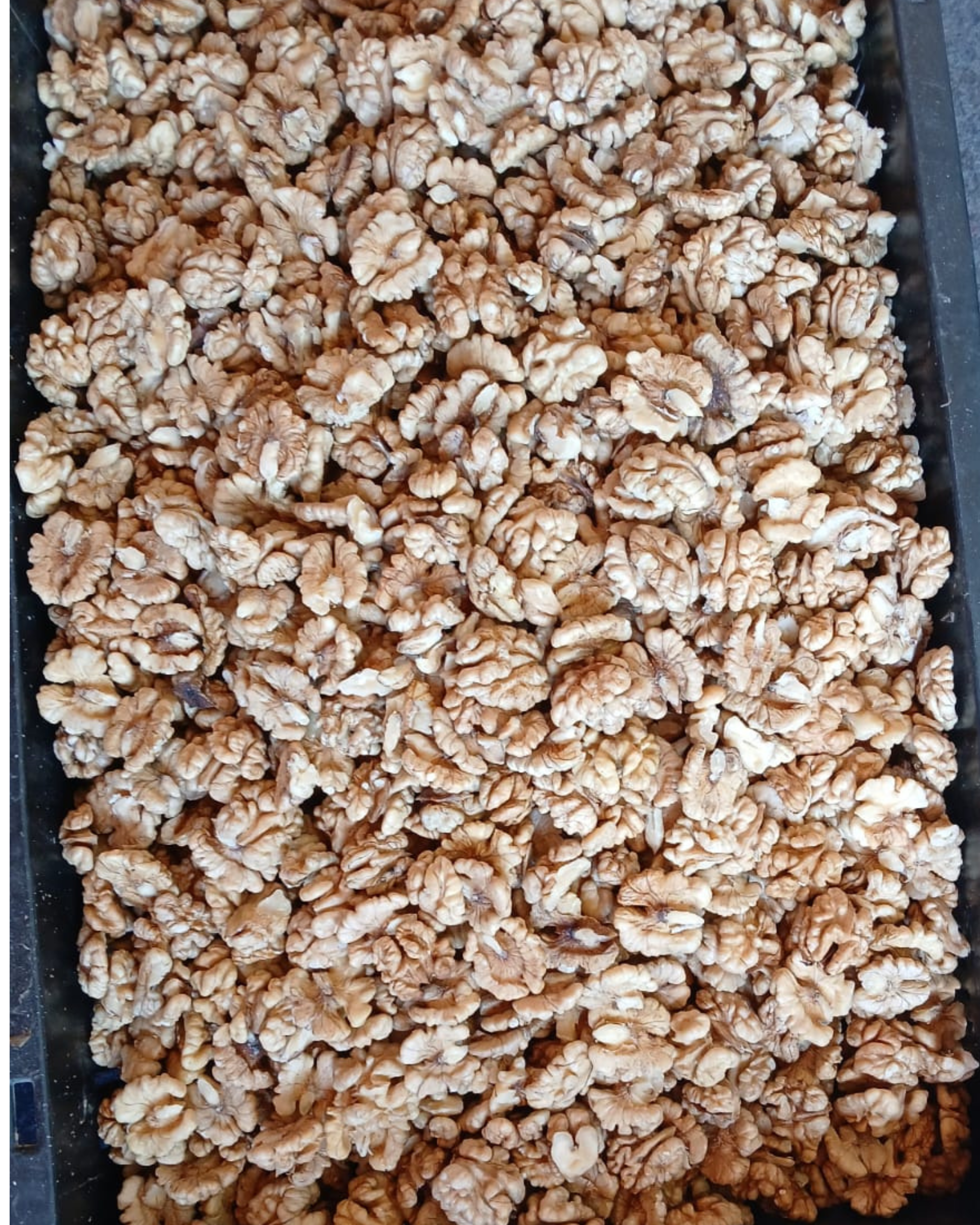 Walnut Giri(Snow White) - Image 3