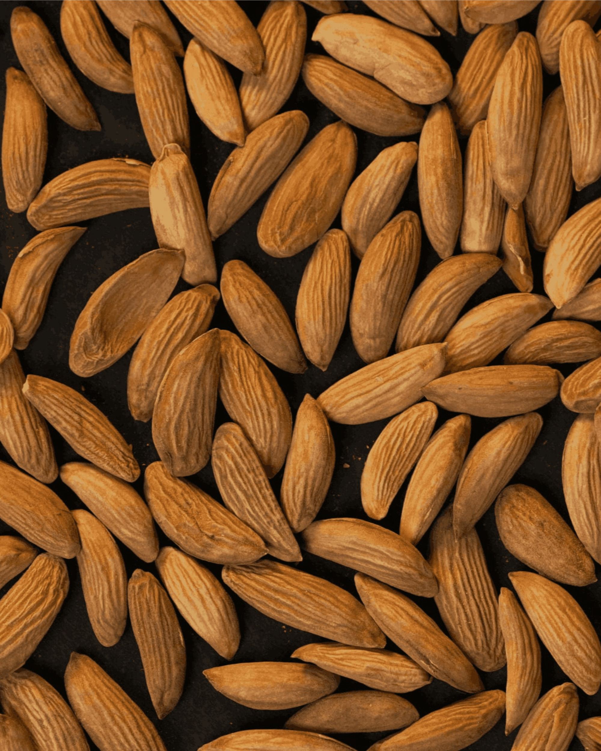 Mamra Almonds - Image 1